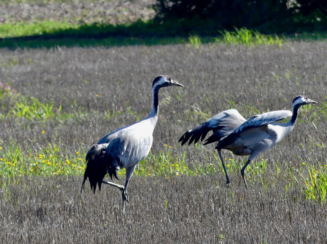 Casa Rural El Recuerdo主图