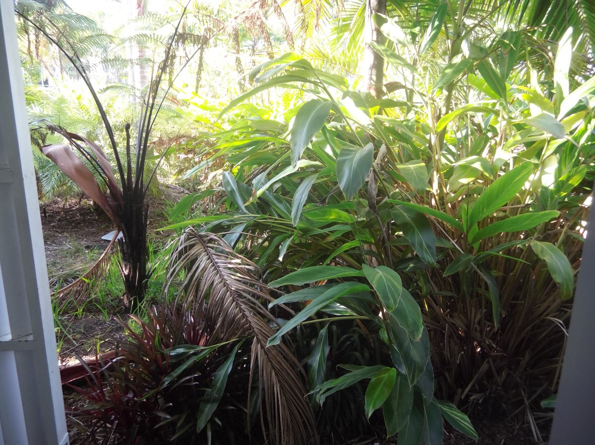 岛屿景观酒店-酒店景观