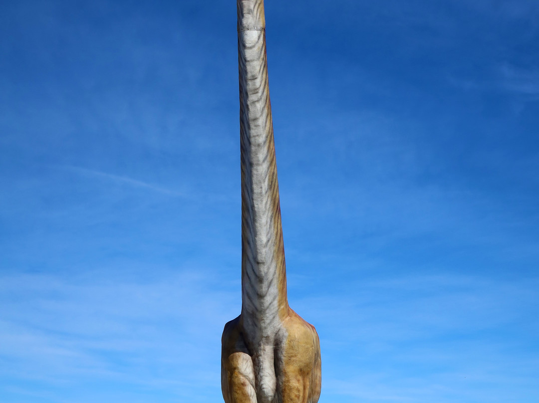 Replica del Titanosaurio-Trelew必去景点