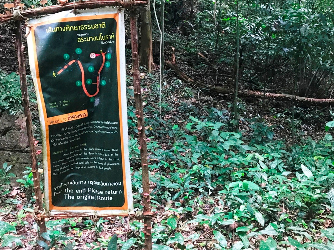 Sa Nang Manora Forest Park景点图片