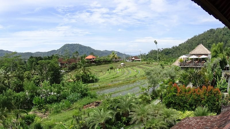 英达田园别墅主图