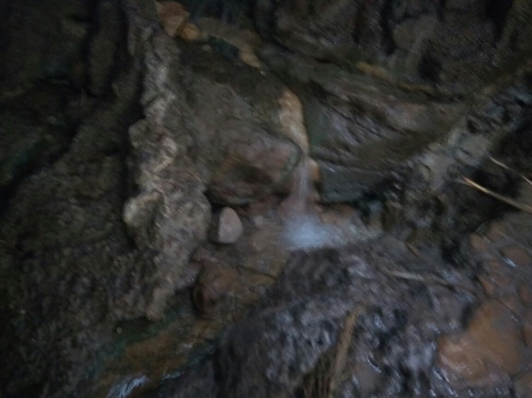 Nachal David Stream-死海地区必去景点