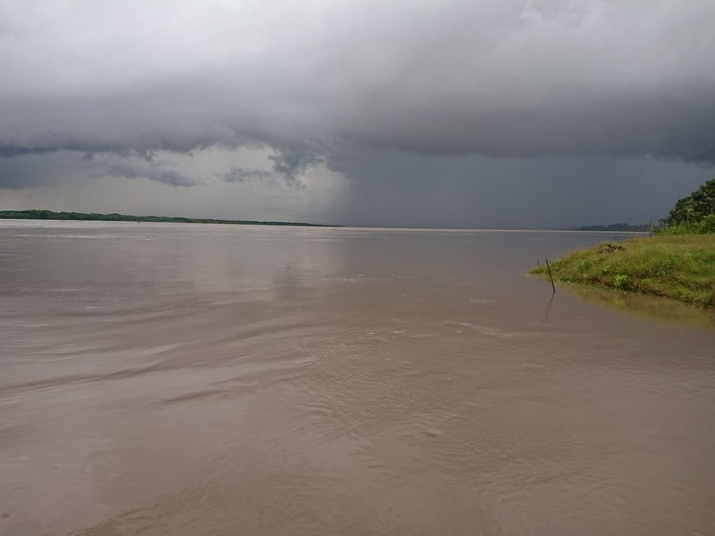 Area de Conservacion Regional Comunal Tamshiyacu Tahuayo景点图片