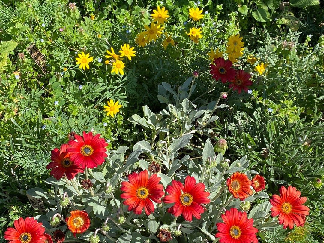 Luther Burbank Home & Gardens景点图片