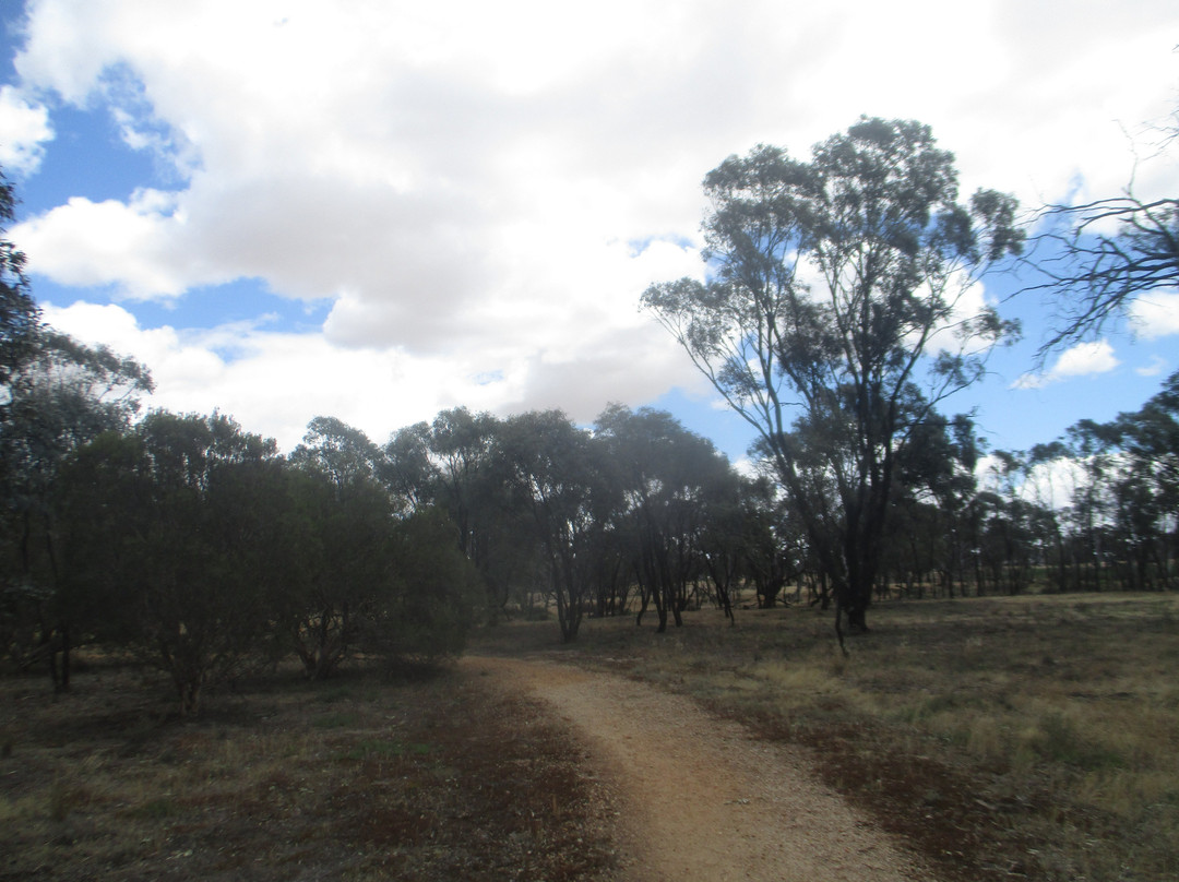 Scilleys Island-Donald必去景点
