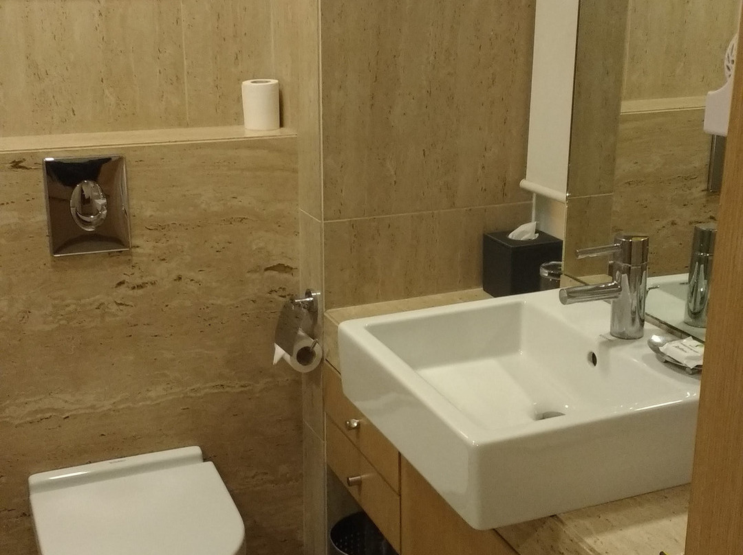 Radisson Hotel Gurugram Sohna Road City Center主图