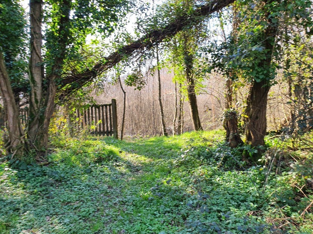 Lago della Gherardesca-卡潘诺里必去景点