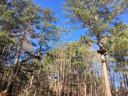 Brook Run Park-Dunwoody必去景点