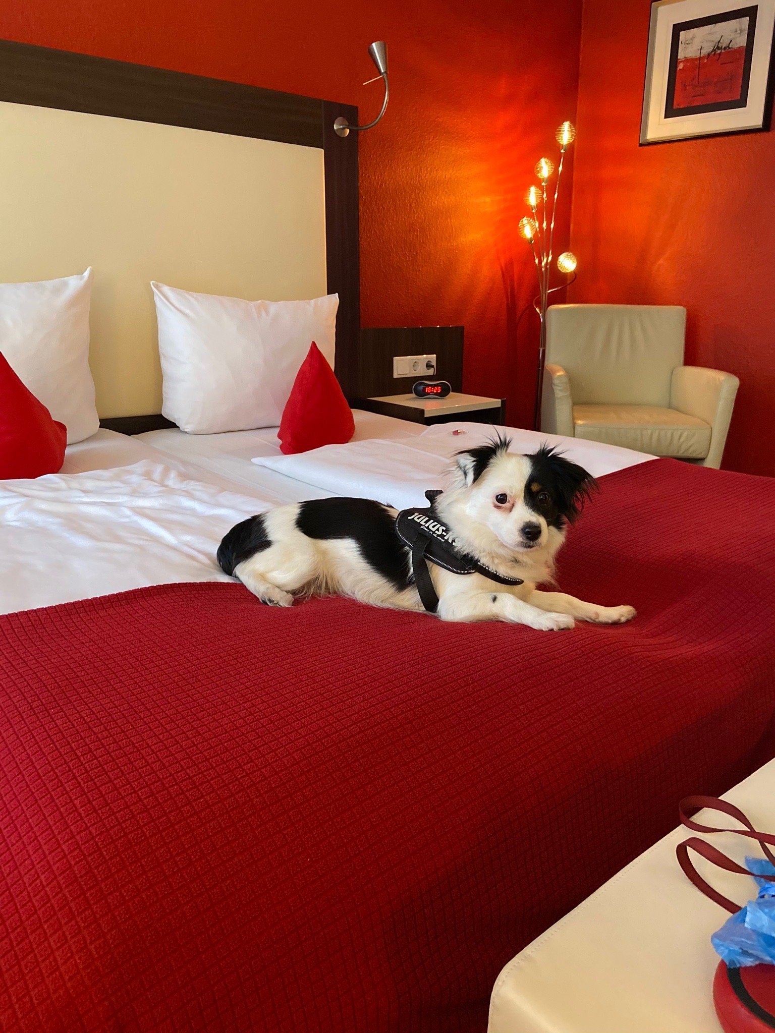Heerens Hotel-官方
