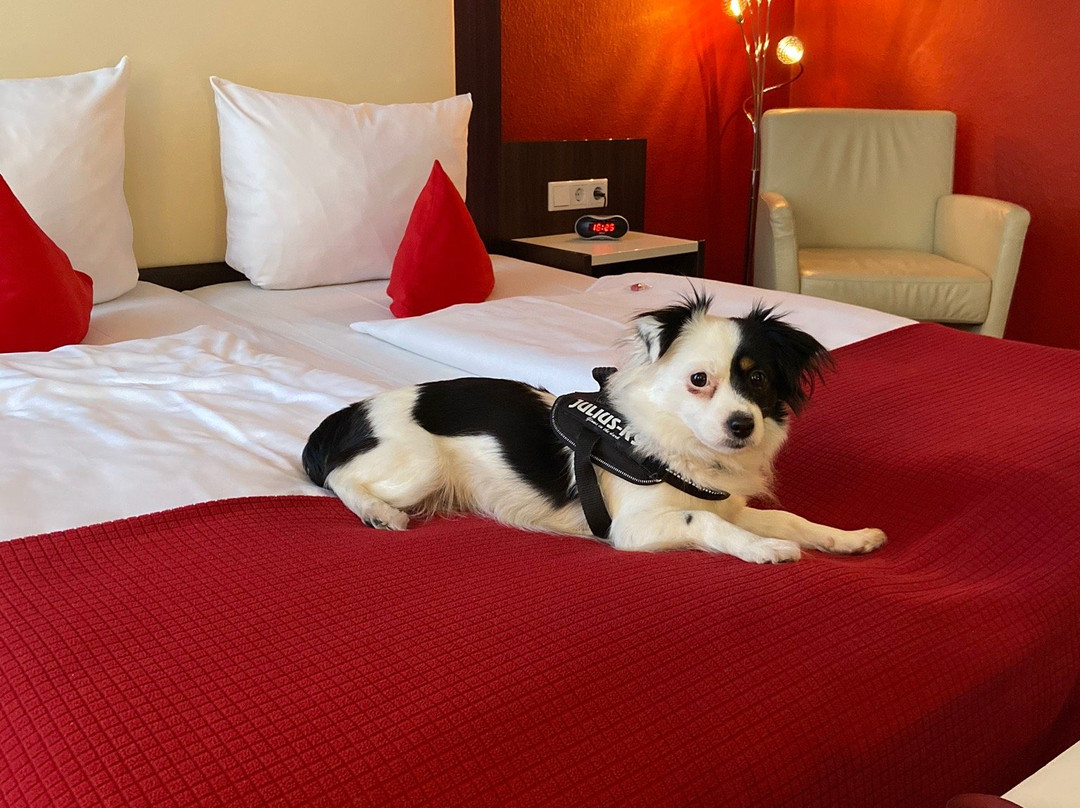 Heerens Hotel主图