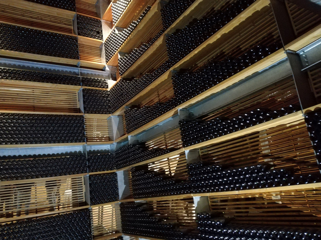 Cantina Rotari-Mezzocorona必去景点