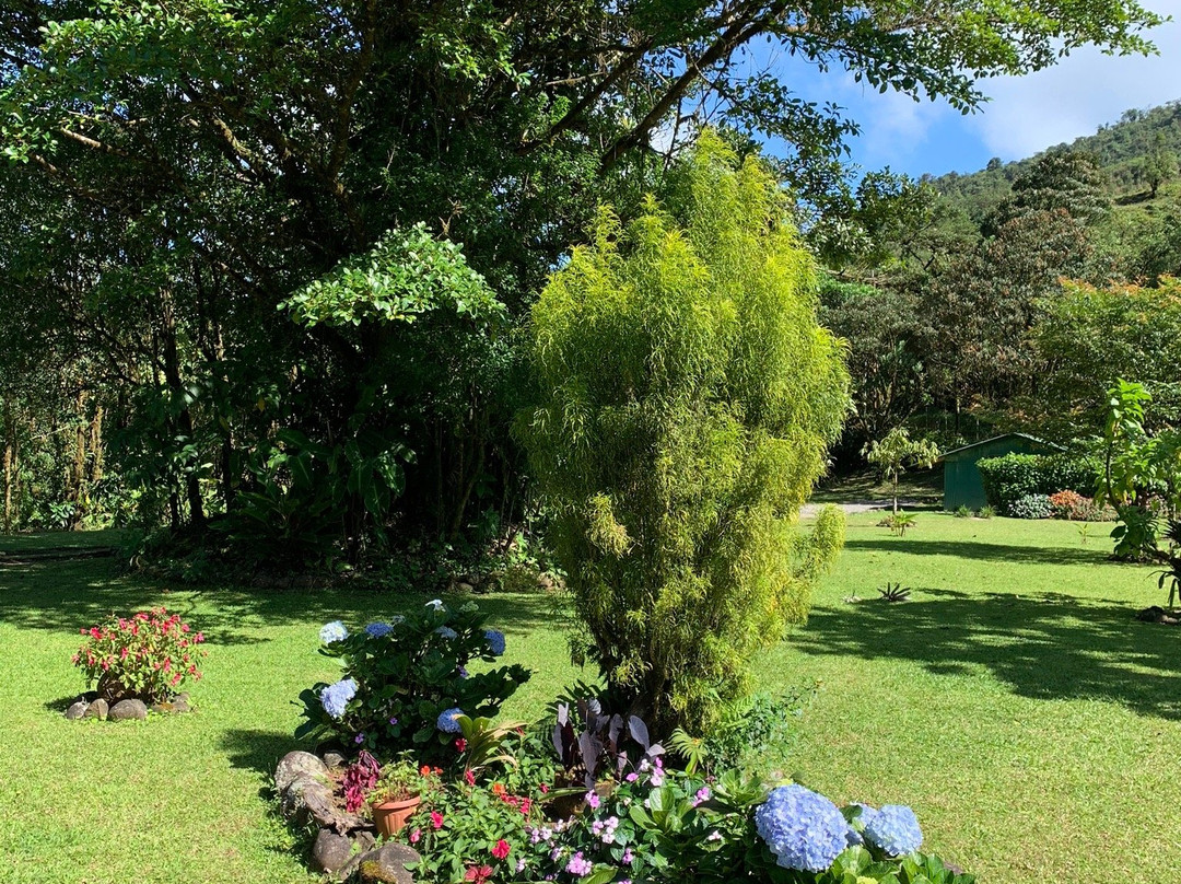 El Canto Del Rio主图