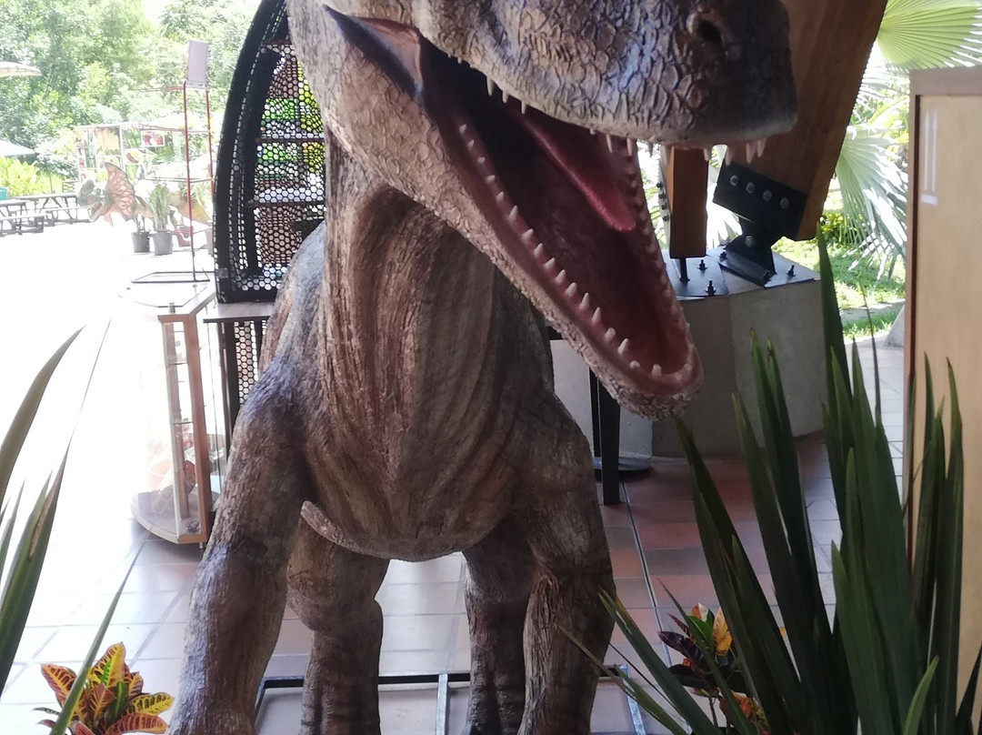 Bioparque Ukumarí-佩雷拉必去景点