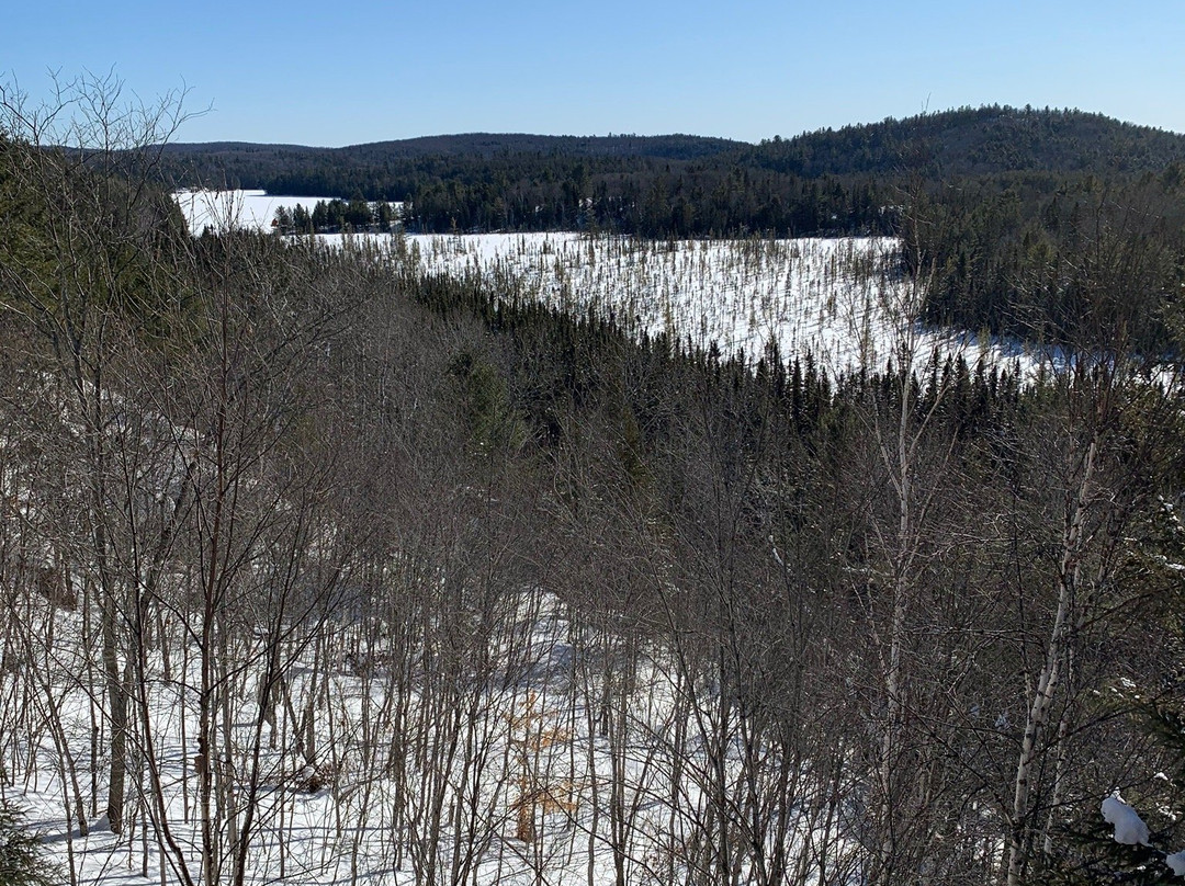 Algonquin Visitor Centre景点图片