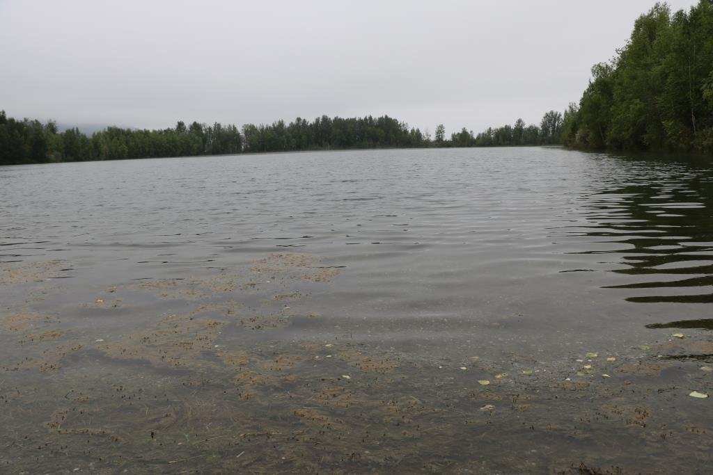 Reflections Lake-帕尔默必去景点