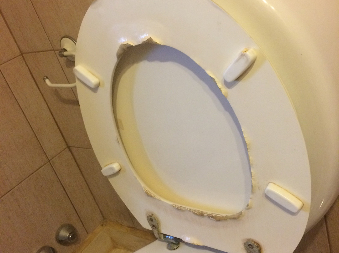 Hotel San Carlos主图