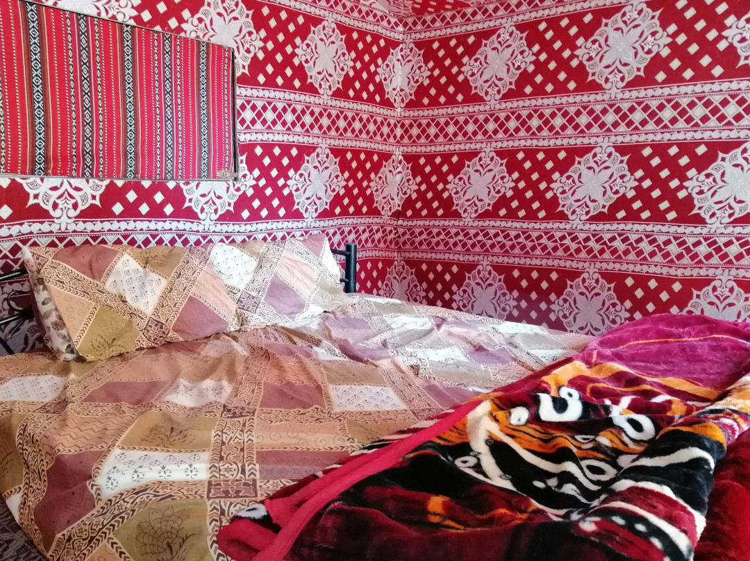 rumroad-Wadi Rum Village必去景点