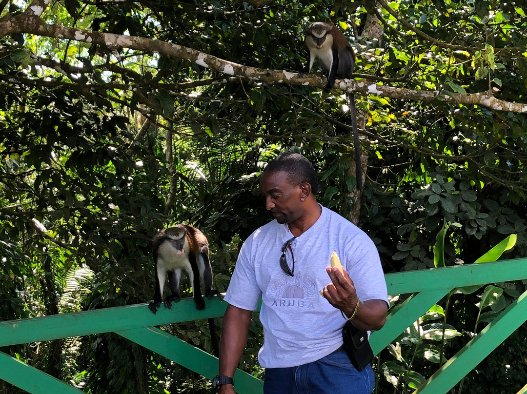 Chris's Tours and Taxi-St. George's必去景点