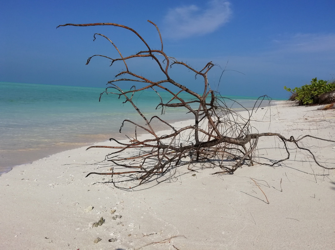 Bangaram Island, Lakshadweep - IHCL SeleQtions主图