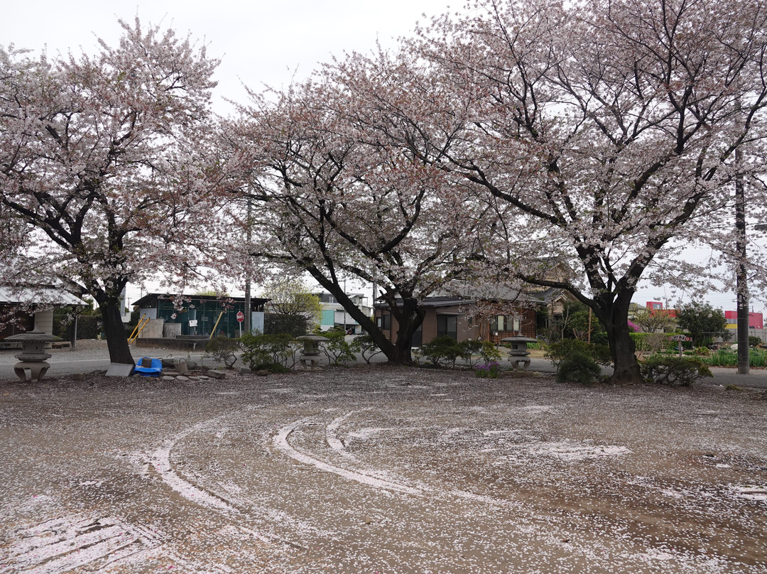 Shofukuji-Temple景点图片