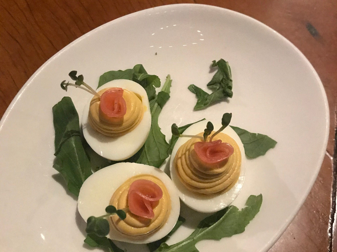 District-奥克兰必去景点