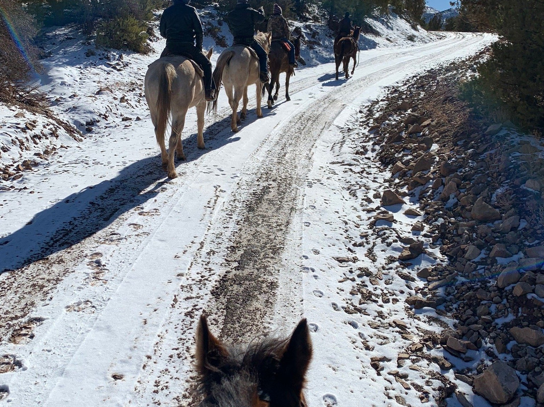 Rising K Ranch-锡达城必去景点