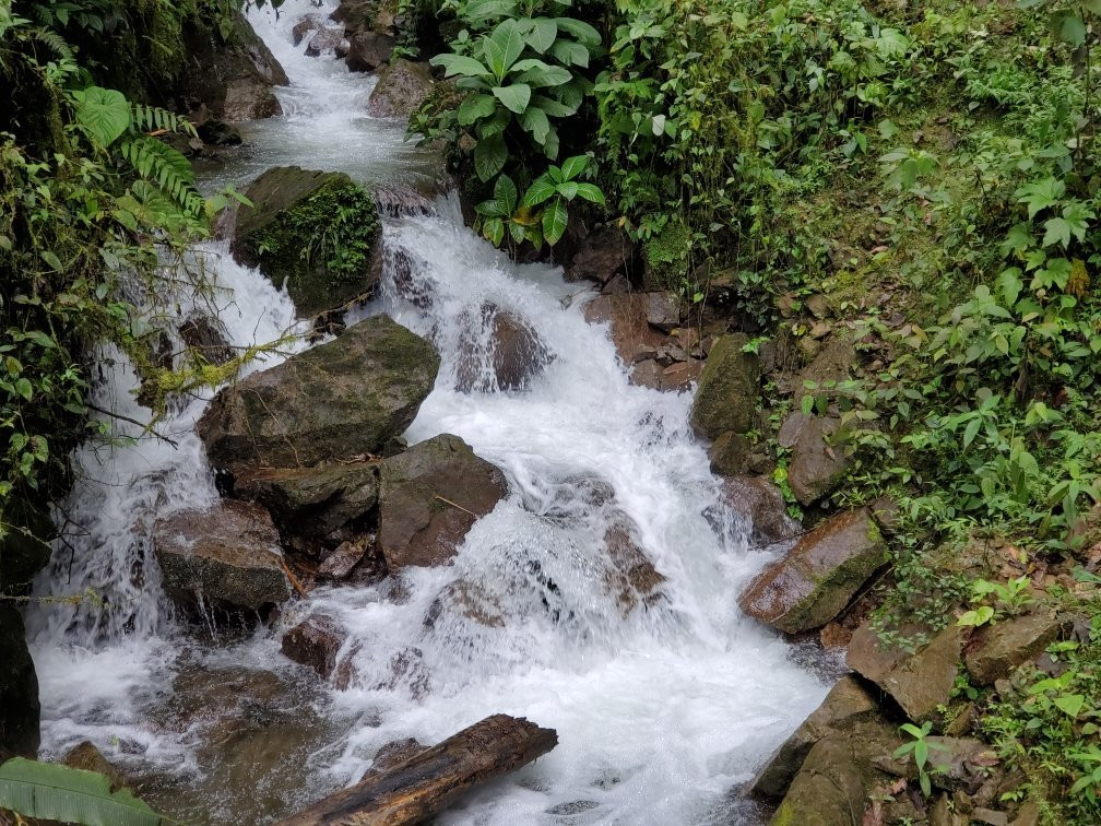 Tarabita y Santuario de Cascadas Mindo-明多必去景点