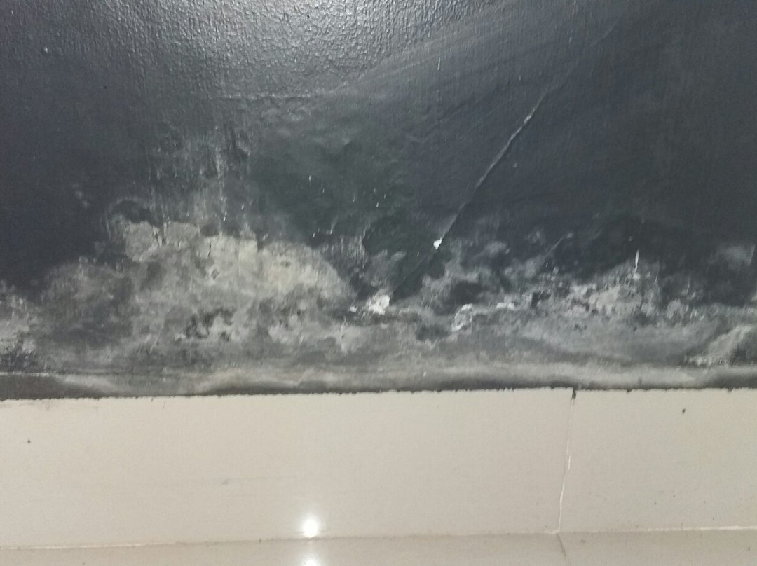 Bamboo Lagoon Backwater Front Resort主图