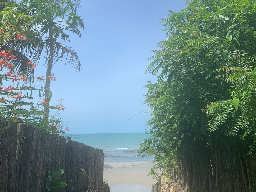 Praia do Coqueiro景点图片