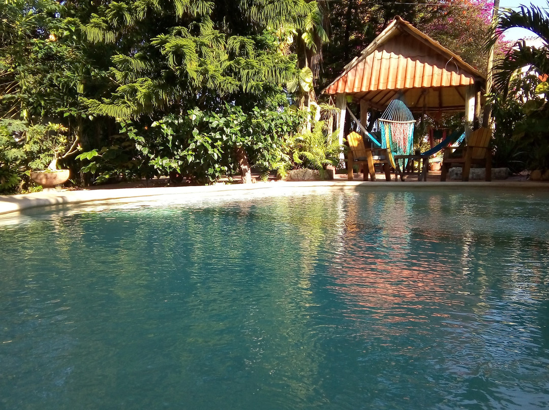 La Casa De Los Pajaros主图