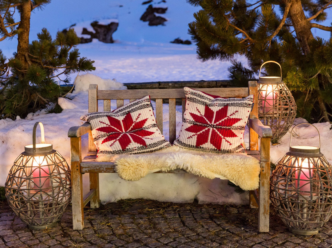 Hotel Edelweiss主图