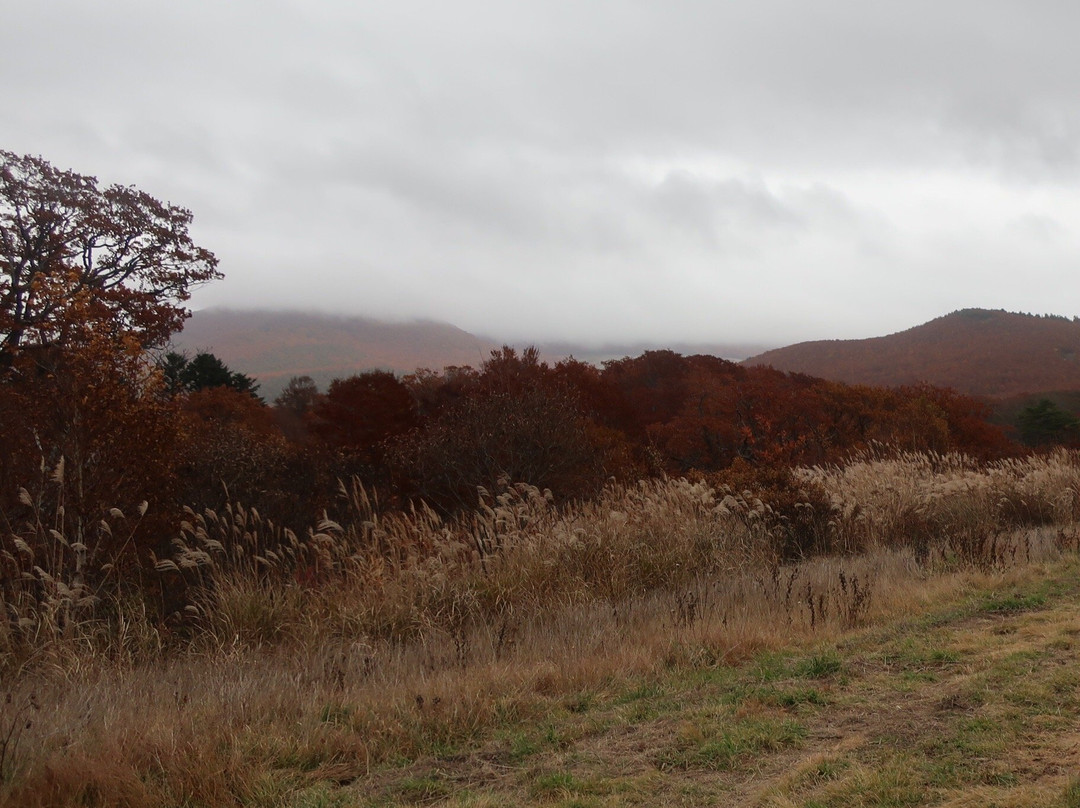 Gudari Swamp-青森市必去景点
