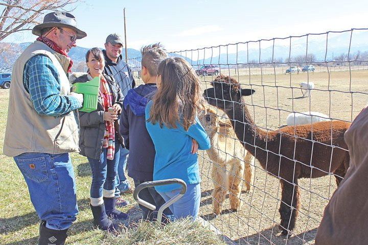 Hallmark Ranch Alpacas景点图片