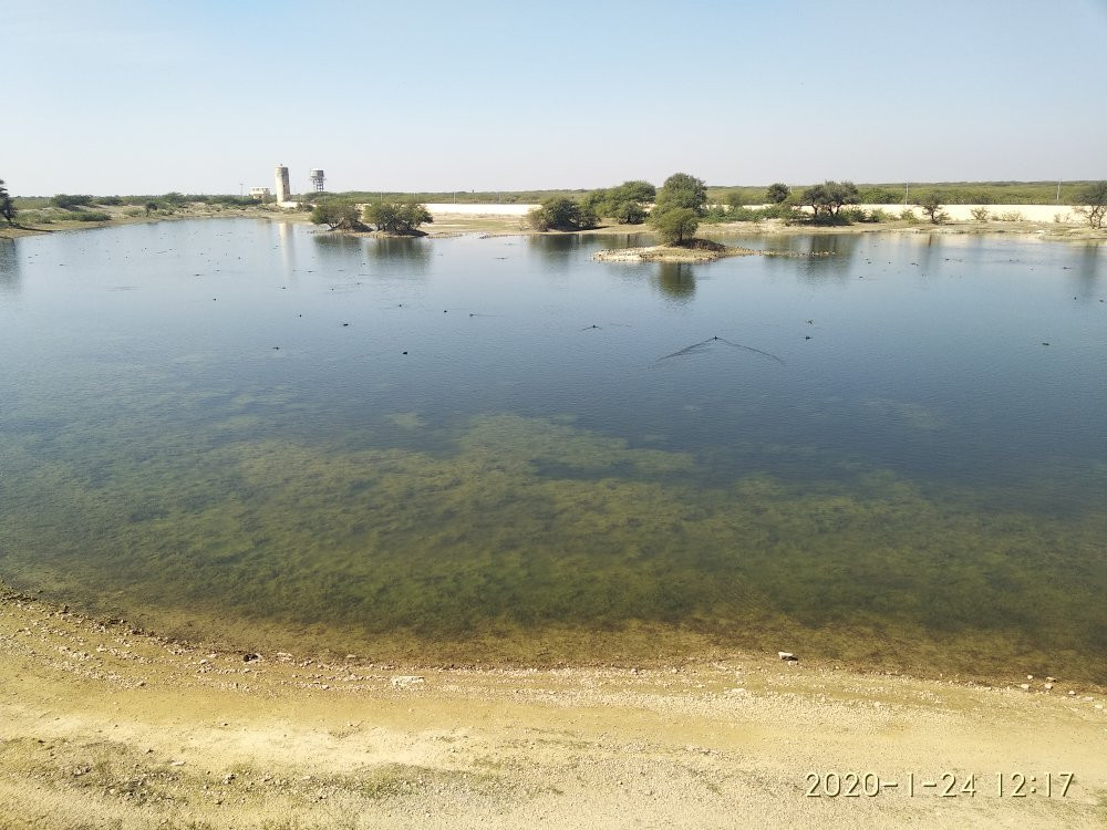Gudo Bishnoi Lake景点图片