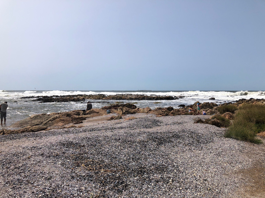 Rambla General Jose Artigas-埃斯特角城必去景点