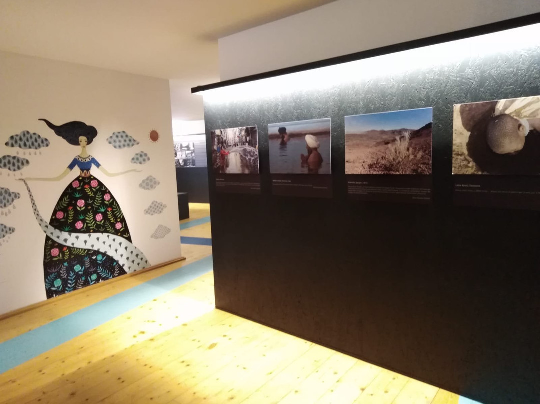 Museo "La Casa dell'Acqua"景点图片