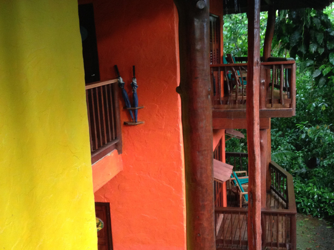 普拉亚尼库伊萨雨林旅馆主图