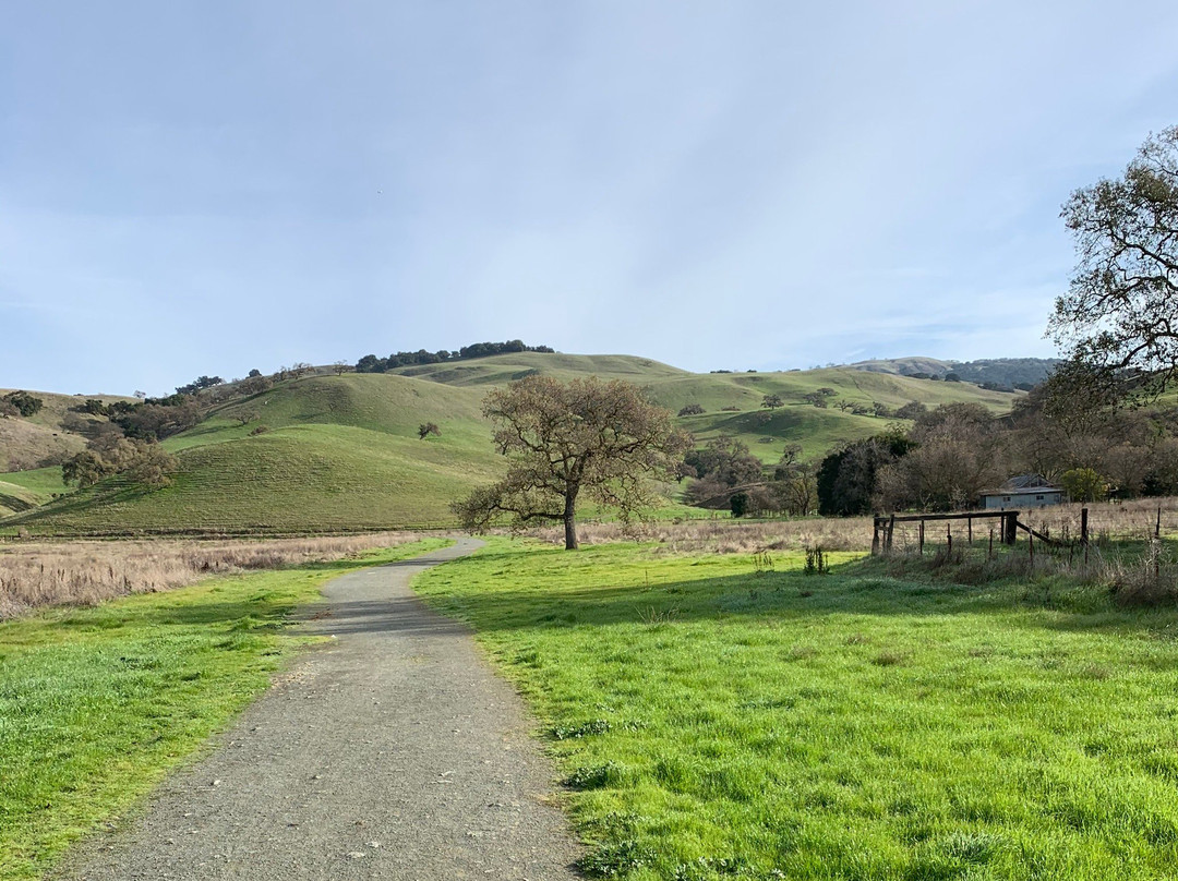 Coyote Lake Harvey Bear Ranch County Park-吉尔罗伊必去景点