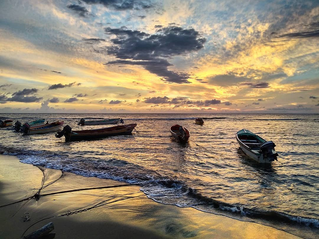 Waikiki Guest House主图