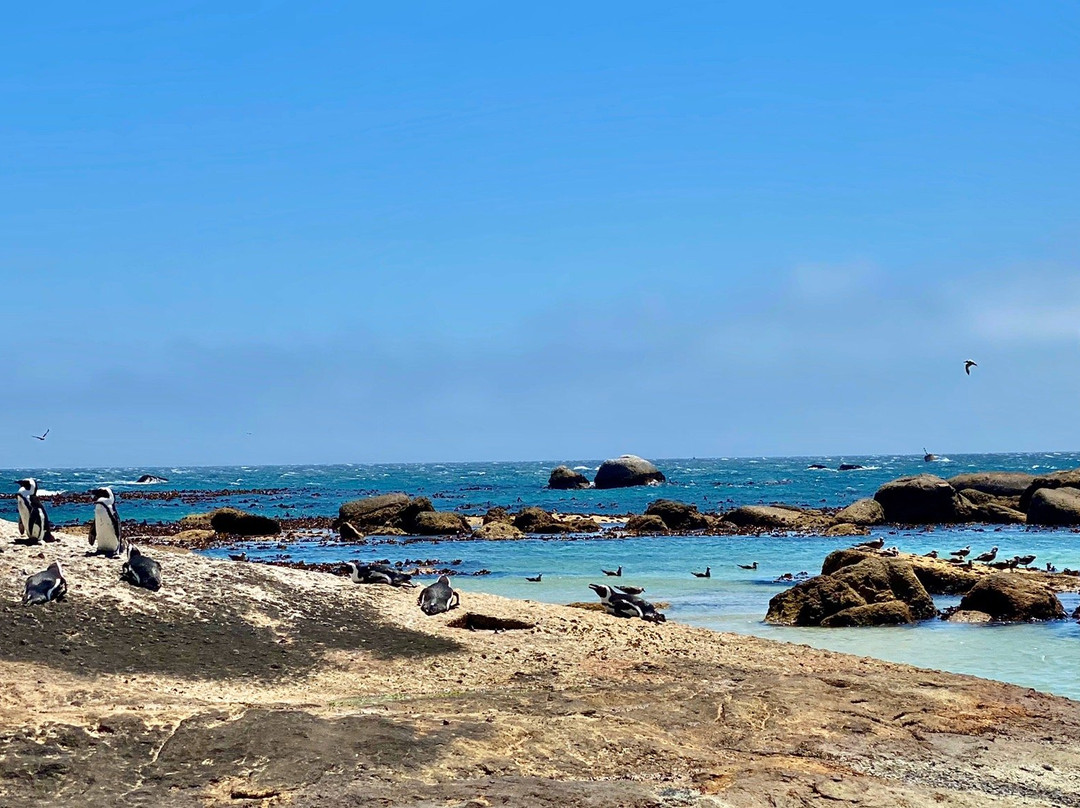 Seaforth Beach-西门镇必去景点