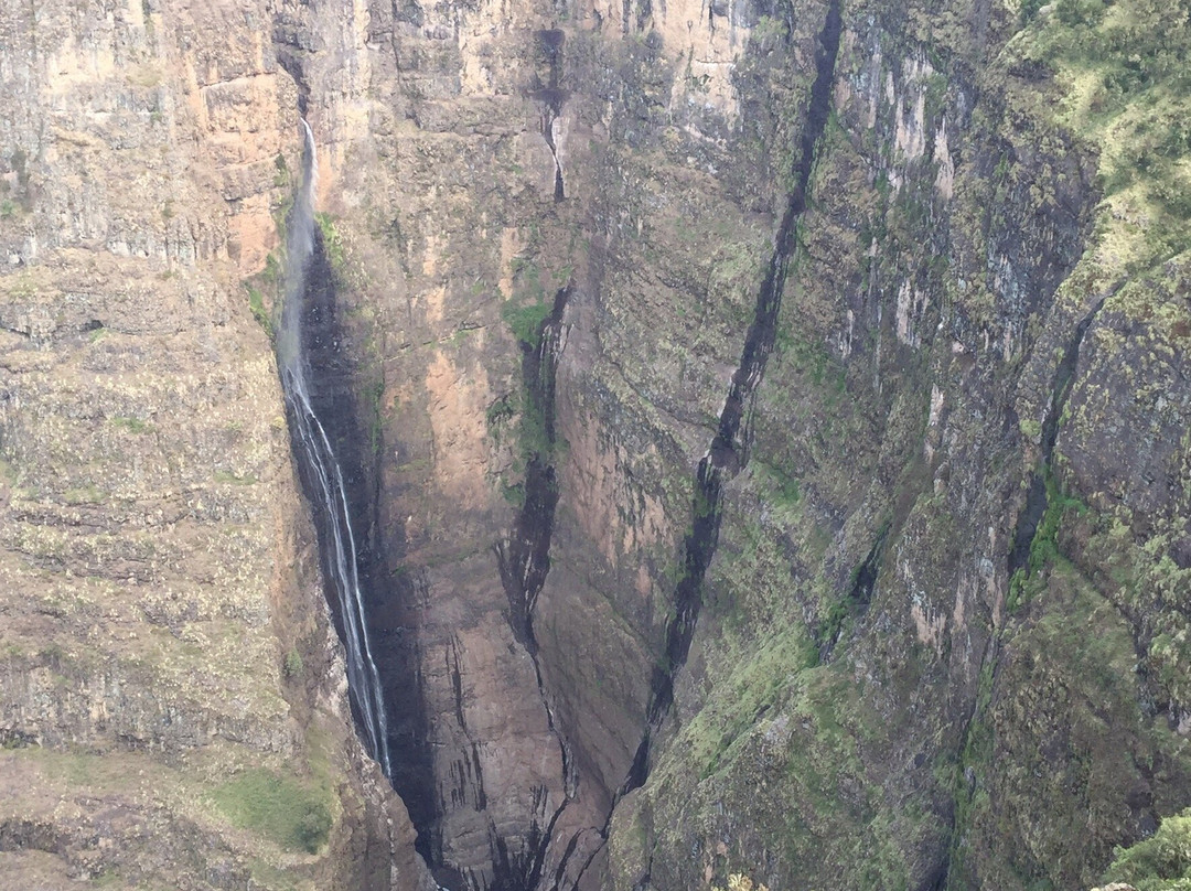 Simien Mountain Trekking and Tours景点图片