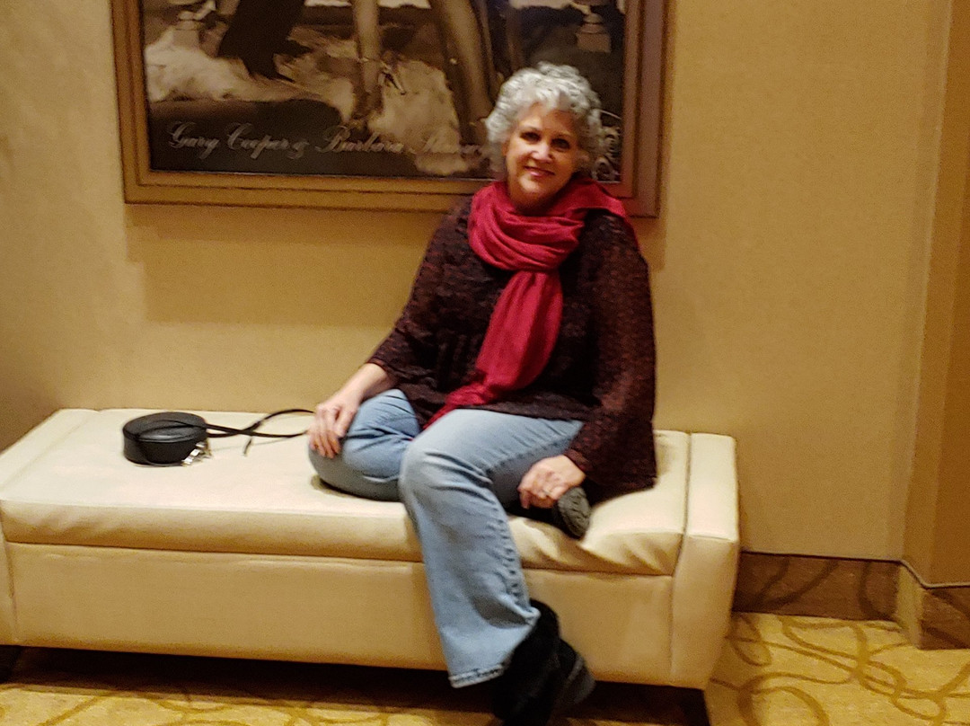 好莱坞班戈 酒店主图