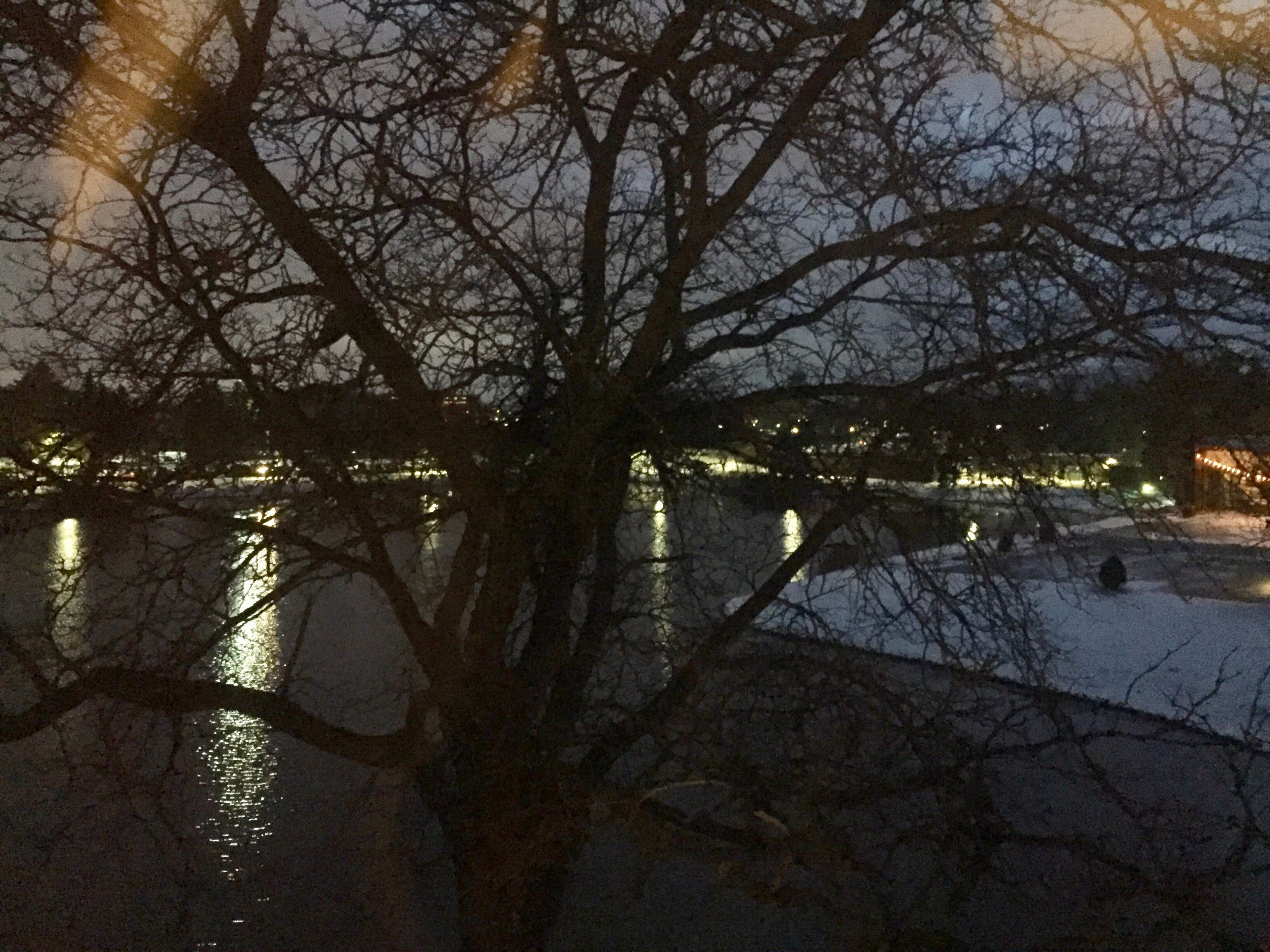 林肯郡万豪度假酒店-酒店景观