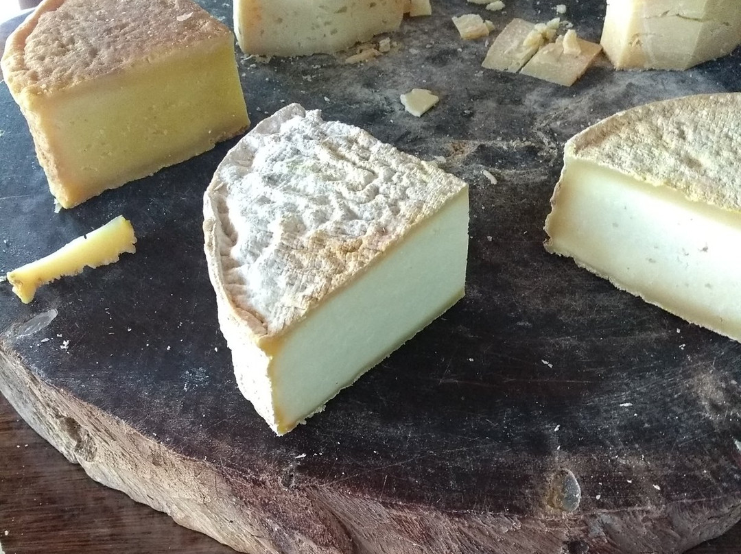 Queijo do Ivair景点图片
