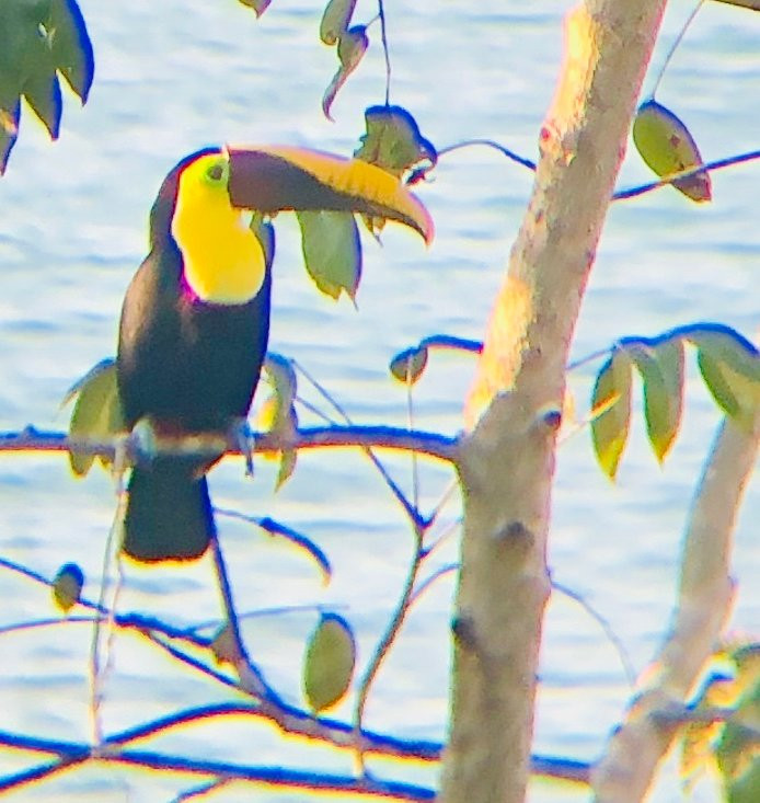 La Paloma Lodge Drake Bay主图