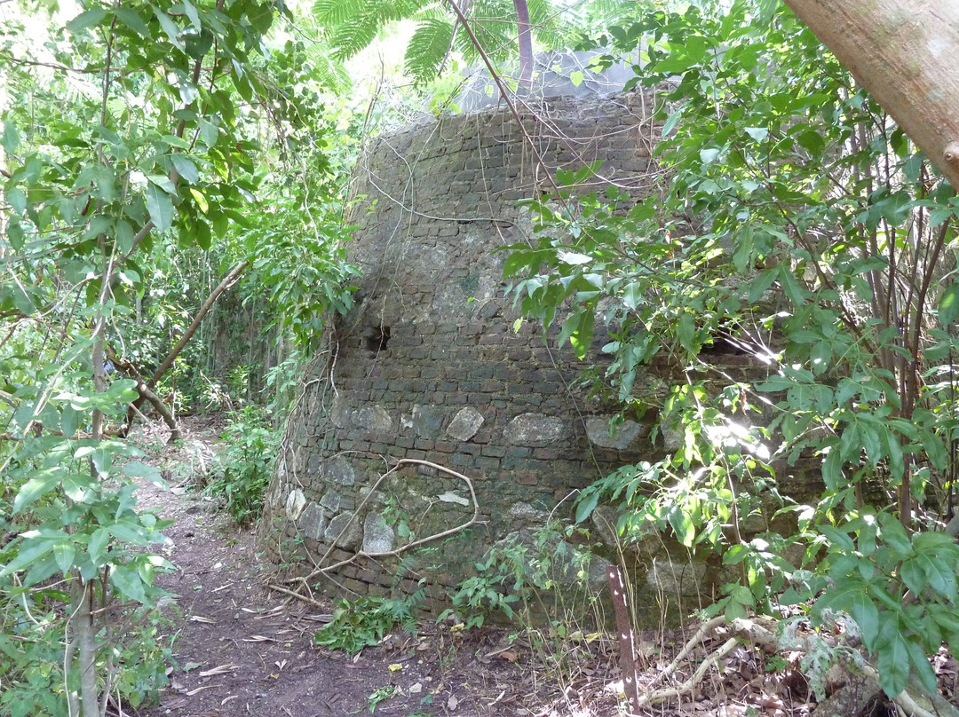 Sugar Mill Ruins-维切克岛必去景点