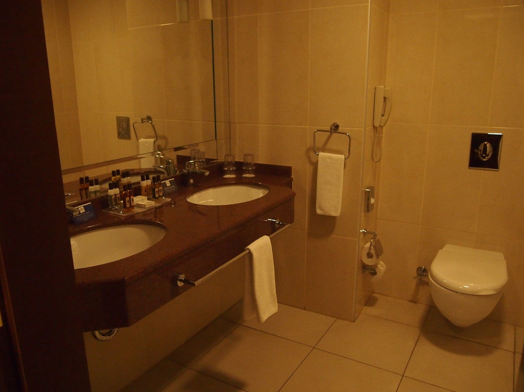 明斯克皇冠假日酒店主图