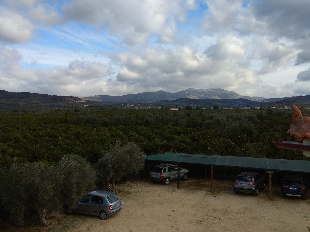 Agroktima Elia主图