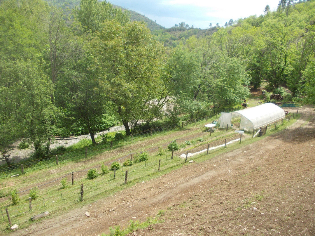 La Ferme de Patience主图