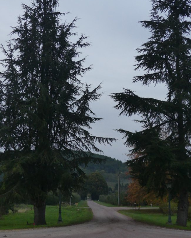 Domaine de la Vitrolle主图